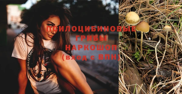 mdpv Белокуриха