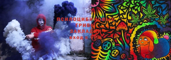 mdpv Белокуриха